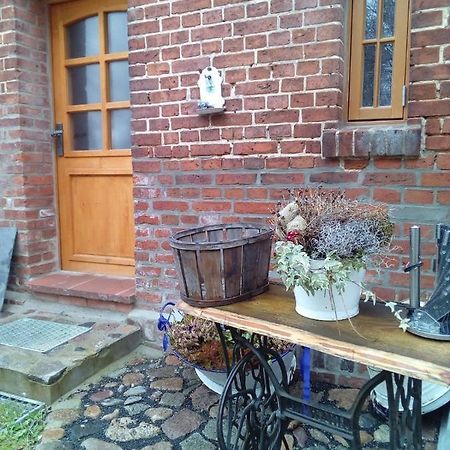 Ferienwohnung Fuchsberge Letschin Zewnętrze zdjęcie