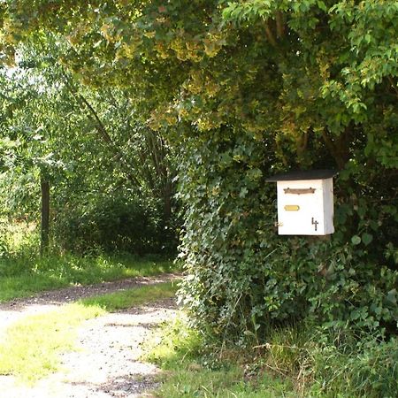 Ferienwohnung Fuchsberge Letschin Zewnętrze zdjęcie
