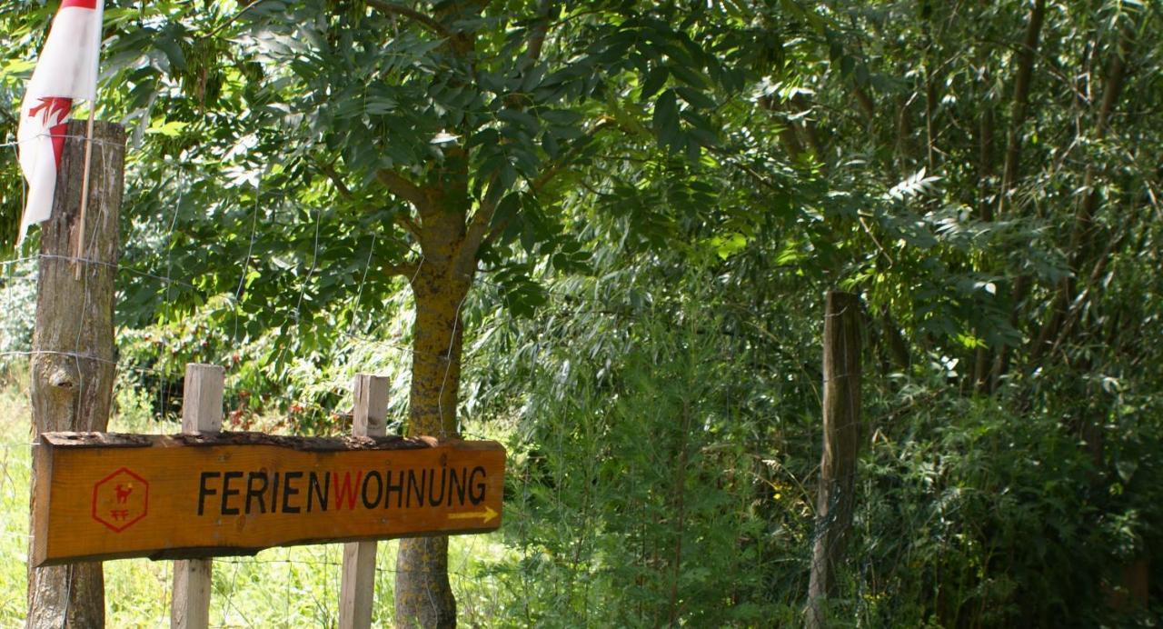 Ferienwohnung Fuchsberge Letschin Zewnętrze zdjęcie