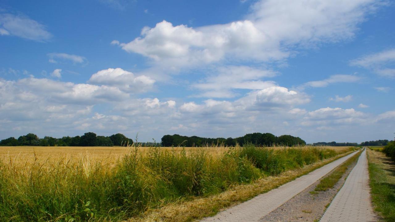 Ferienwohnung Fuchsberge Letschin Zewnętrze zdjęcie