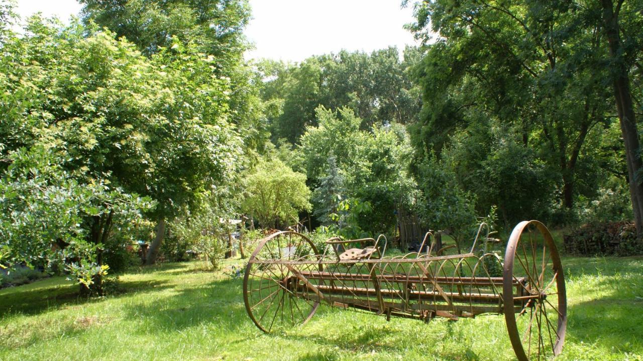 Ferienwohnung Fuchsberge Letschin Zewnętrze zdjęcie