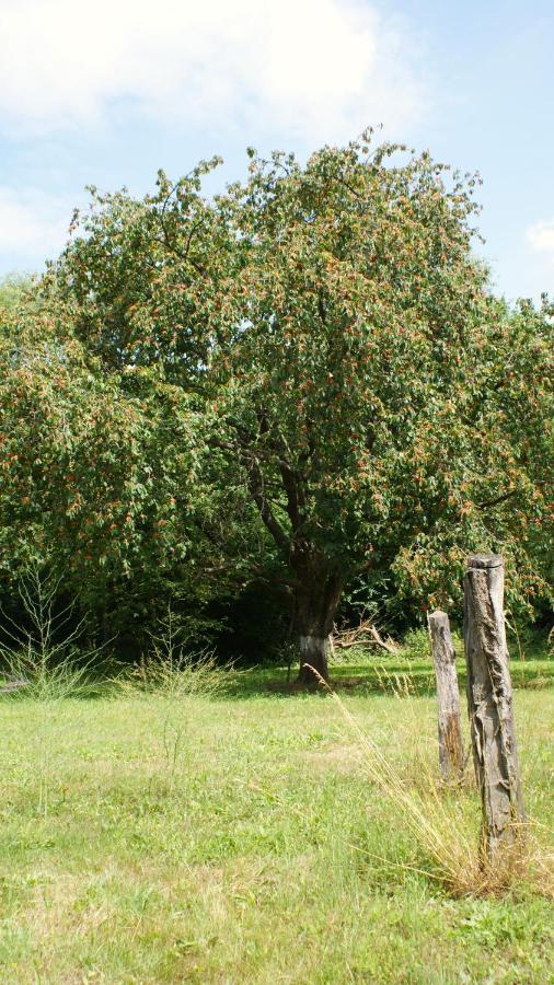 Ferienwohnung Fuchsberge Letschin Zewnętrze zdjęcie